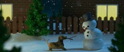 节气养生丨今日小雪，雪至人安康，学点规矩不吃亏