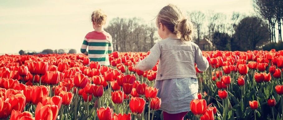 春天到了，您可千万别再早睡了！小心睡错伤肝、伤阳气~