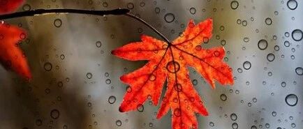 湿冷交加关节痛？把粗盐放锅里炒一下，祛风湿止痹痛，能顶半个老中医