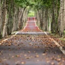 节气养生丨今日寒露，保暖做不对，一切全白费！快学点规矩，平安过秋冬~