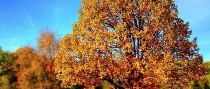 秋高气爽=多病之秋！远离4种高发病，牢记4个防护招