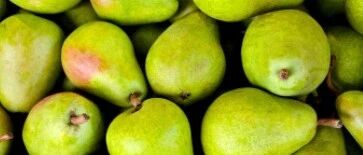 秋燥不能乱吃梨！分不清这一点，小心越吃越干！