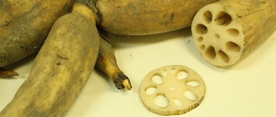 它是女性养血宝，秋季多吃身体好！