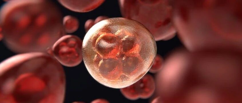 小心！有些炎症距离肿瘤只有“一步之遥”，千万别因为是“小病”就不当回事