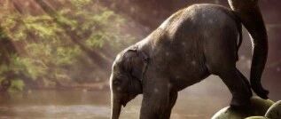 屁多好还是屁少好？屁里这点事你必须知道~