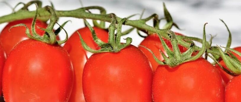 几毛钱一斤的这个，竟是清理血管的特效菜，30岁后要多吃！