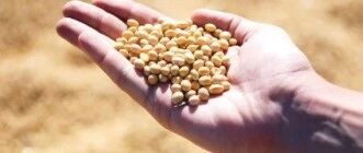 “溶解”血栓防中风！这种中国传统食物好吃又健康！做法也很简单~