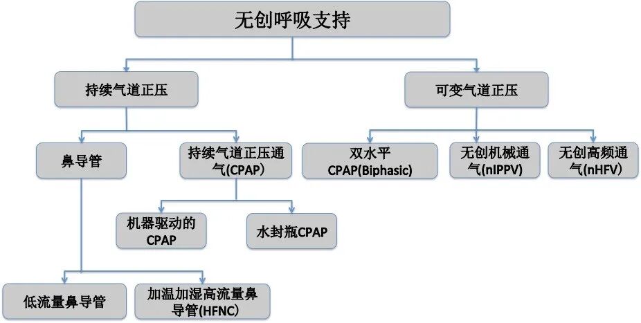 儿科CPAP为什么镇静中儿讲座161：新生儿呼吸管理的基础_https://www.jmylbn.com_新闻资讯_第3张