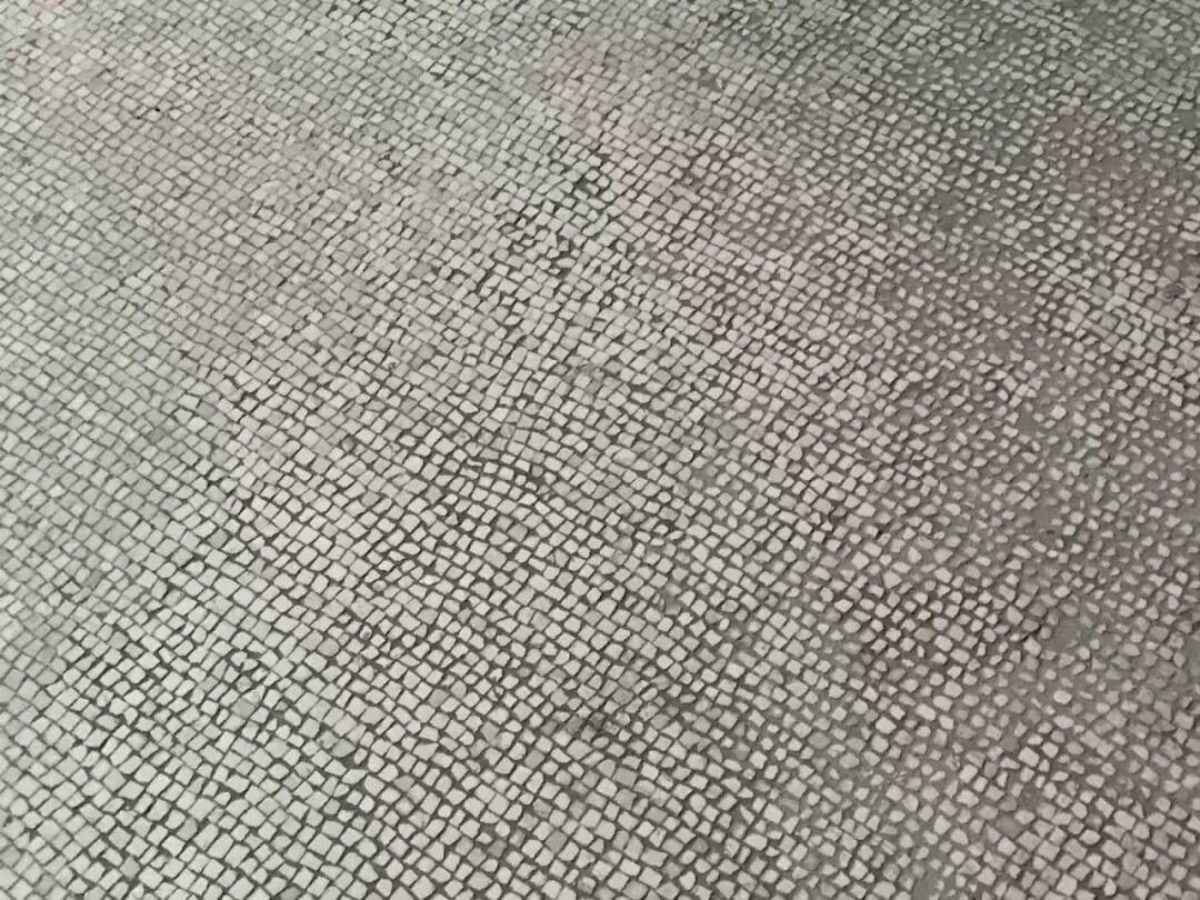 臻游记回眸篇之意大利庞贝古城一日游