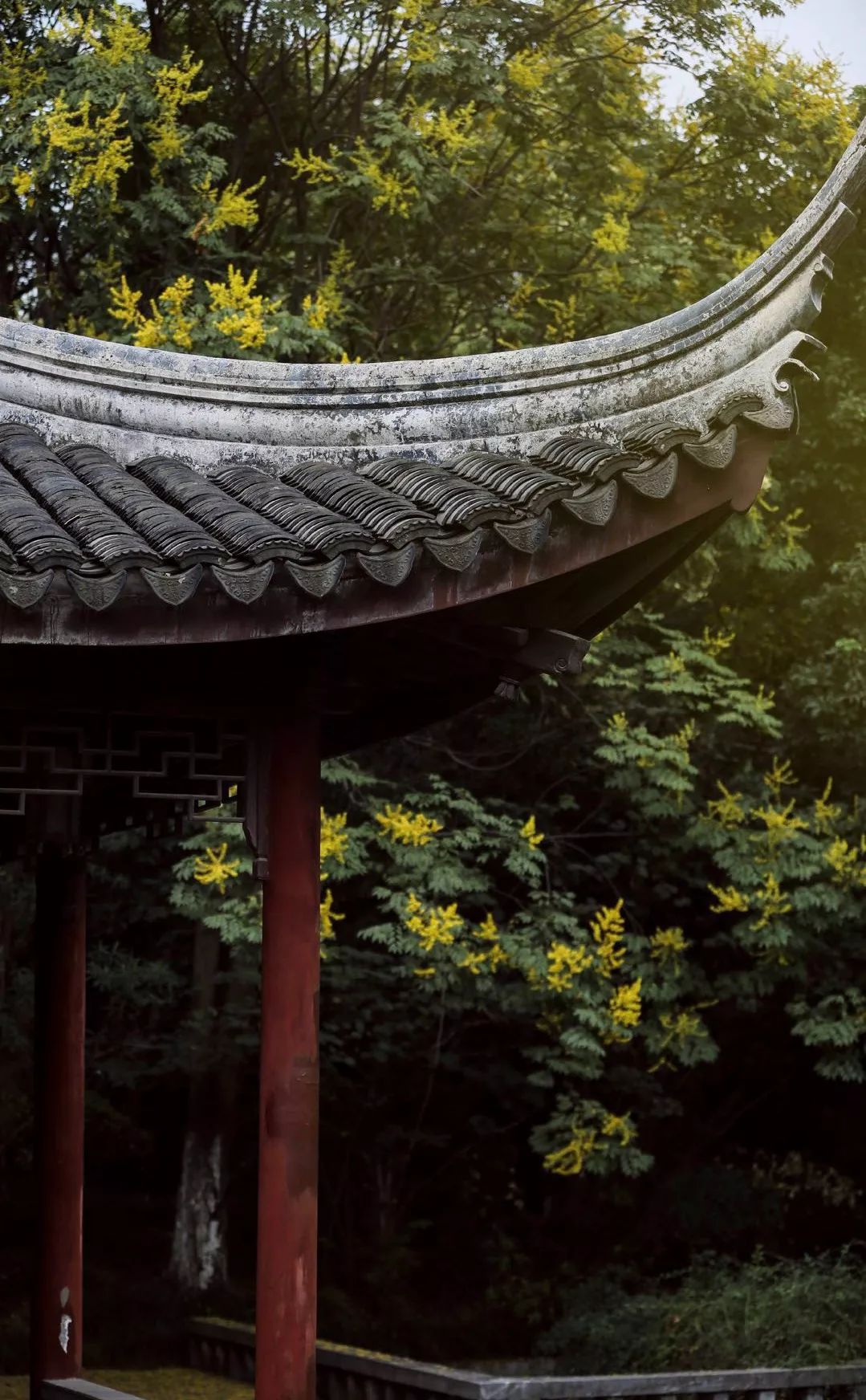 台灣旅館聯盟選文 / 懂點生活美學，生活不再潦草 旅行 第4張