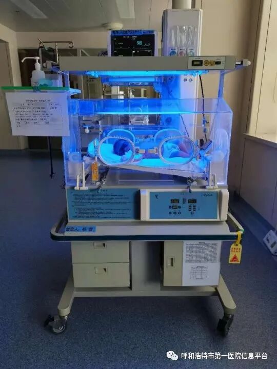 为什么要用光疗纸尿裤日间光疗 让母爱无忧——呼和浩特市第一医院新生儿科日间光疗门诊简介_https://www.jmylbn.com_新闻资讯_第2张