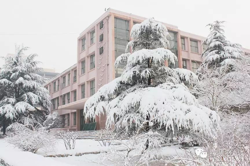 临沂大学费县分校作为费县两个大学分校之一,费县的高等学府,给费县