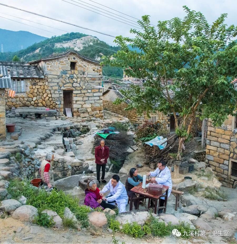 小柴胡汤的临床经验黄煌