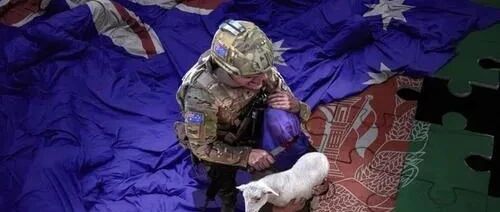 澳军士兵割喉丑闻发酵，西方抱团“打群架”！我们也不怕！