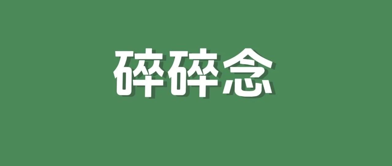 8月复盘|谢谢我的100粉，你们是我的救赎