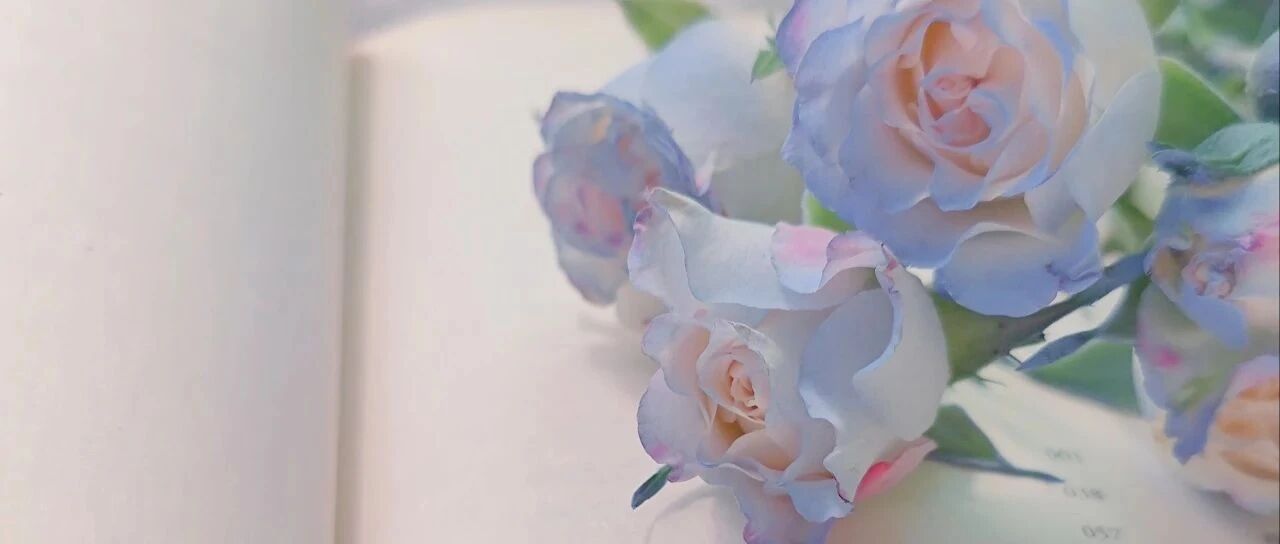 我用一句文案，给四位语文老师发了教师节祝福