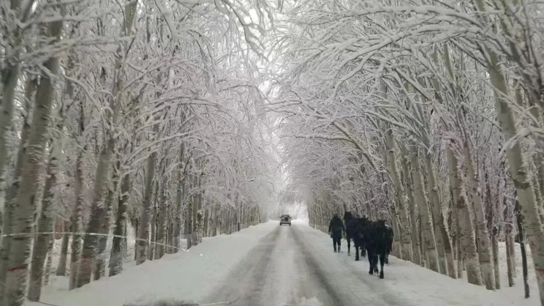 我在体制的日子：权力、人性和女人-文库集