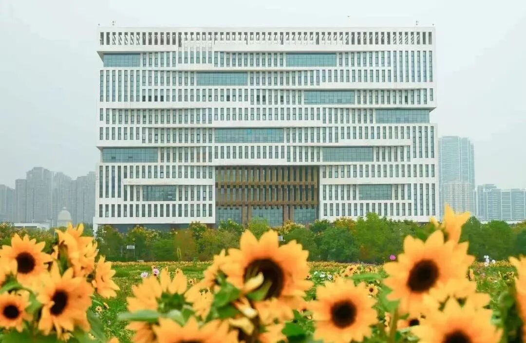 2020武漢的大學理科分數線_武漢理工大學2024年錄取分數線_武漢大學理工學院分數線