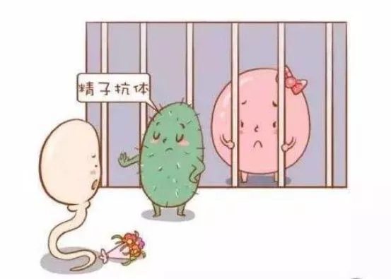 抗精子抗体 抗精子抗体