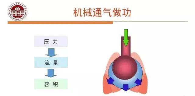 呼吸机f指什么常见呼吸机波形！_https://www.jmylbn.com_新闻资讯_第4张