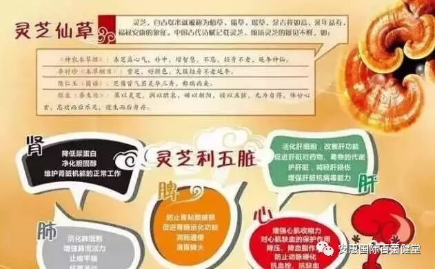 为什么安惠产品能调理疑难杂症？看完你就知道了！