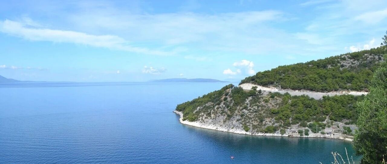 cover_image