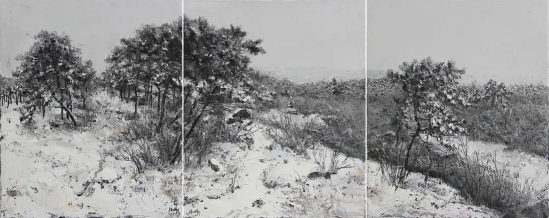 艺术家推荐丨徐扬XUYANG(图43)