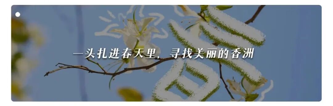 珠海30多年老店用海沙煨的非遗美食鸡沙沙