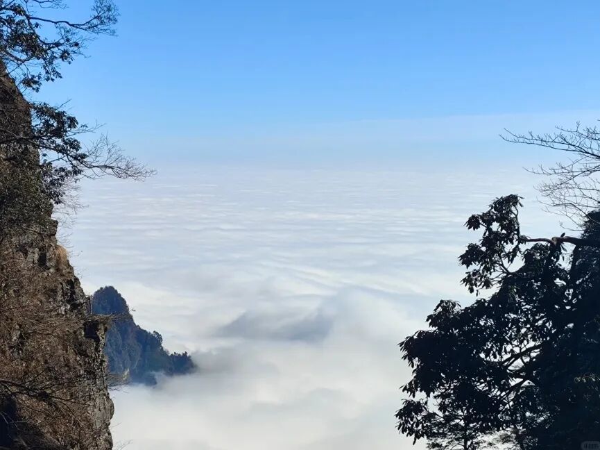 图:小红书@老实的南京人峨眉山是中国"四大佛教名山"之一,也是动植物