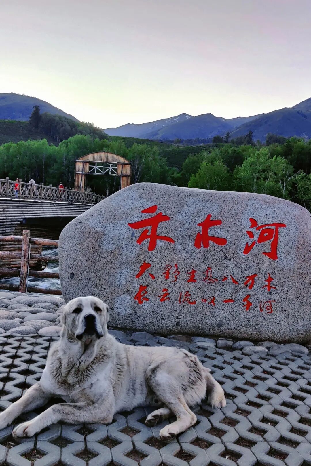 【旅游攻略】一篇就够！最全喀纳斯景区攻略请收好~