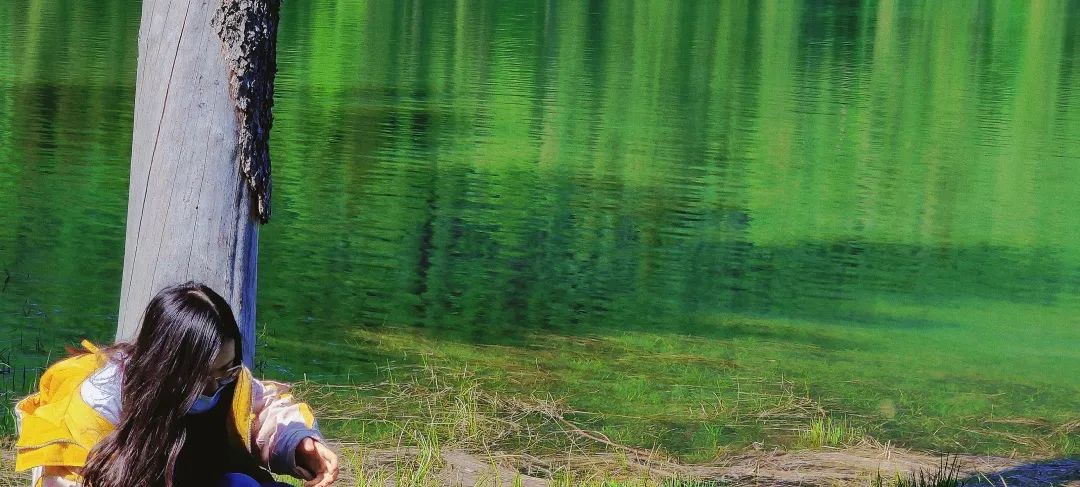 【旅游攻略】一篇就够！最全喀纳斯景区攻略请收好~