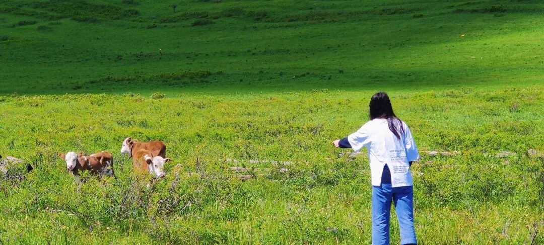 【旅游攻略】一篇就够！最全喀纳斯景区攻略请收好~
