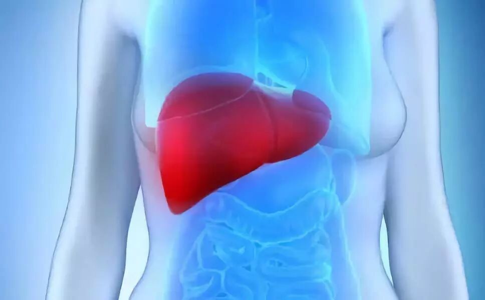 【健康知识】不要忽视脂肪肝！