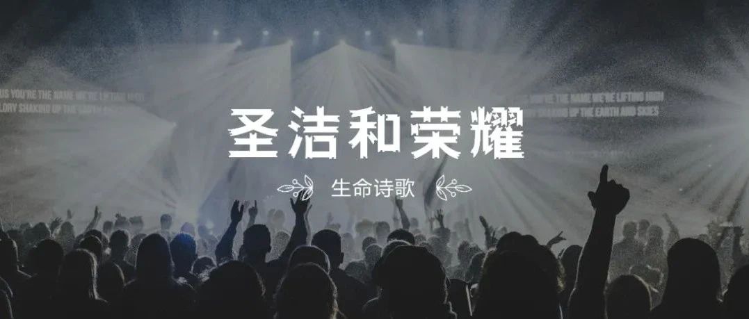 新歌推荐｜圣洁和荣耀（SOP最新专辑歌曲）