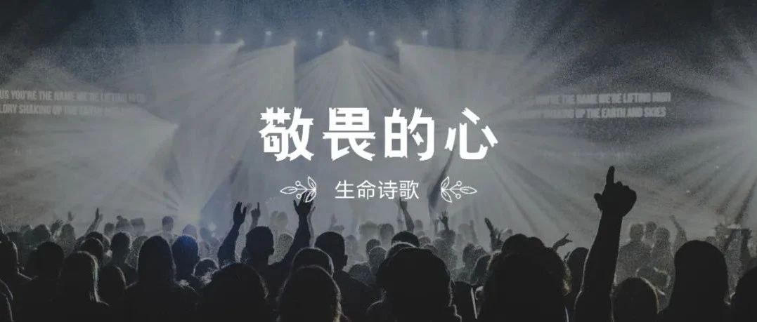 新歌推荐｜敬畏的心（约书亚乐团2022新专辑歌曲）