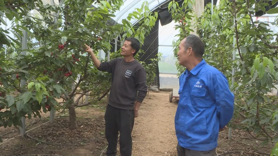 致富农民的心理_致富农民养殖_农民致富经