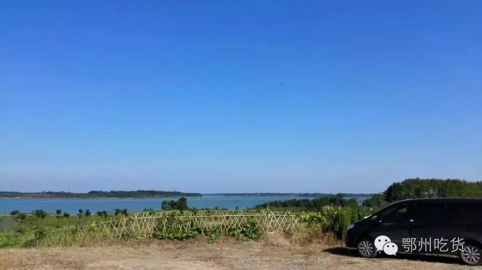 基地篇 御雁食府的食材由天豪大雁養殖專供 鄂州市梁子湖區天豪生態