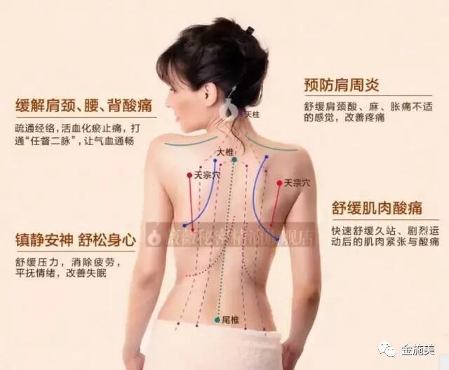 秋季做背 百病消退 活到100岁 金施美 微信公众号文章阅读 Wemp