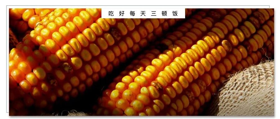 老玉米、甜玉米、糯玉米……哪种最值得吃？