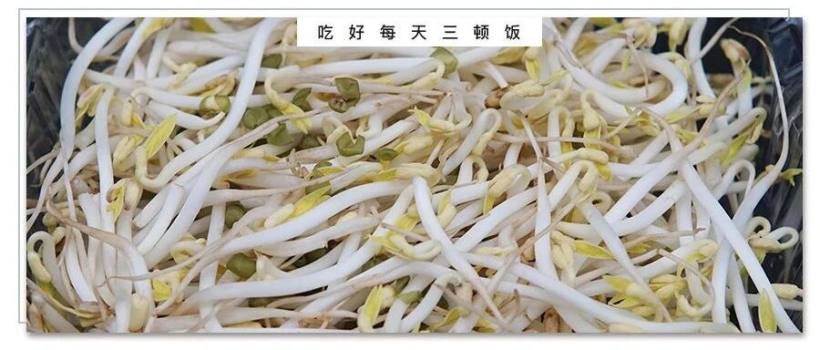 吃豆芽有助于防癌，这个长度的豆芽营养最好！