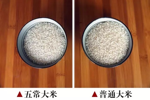 舒展舌頭,愛上吃飯的味道