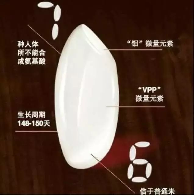舒展舌頭,愛上吃飯的味道