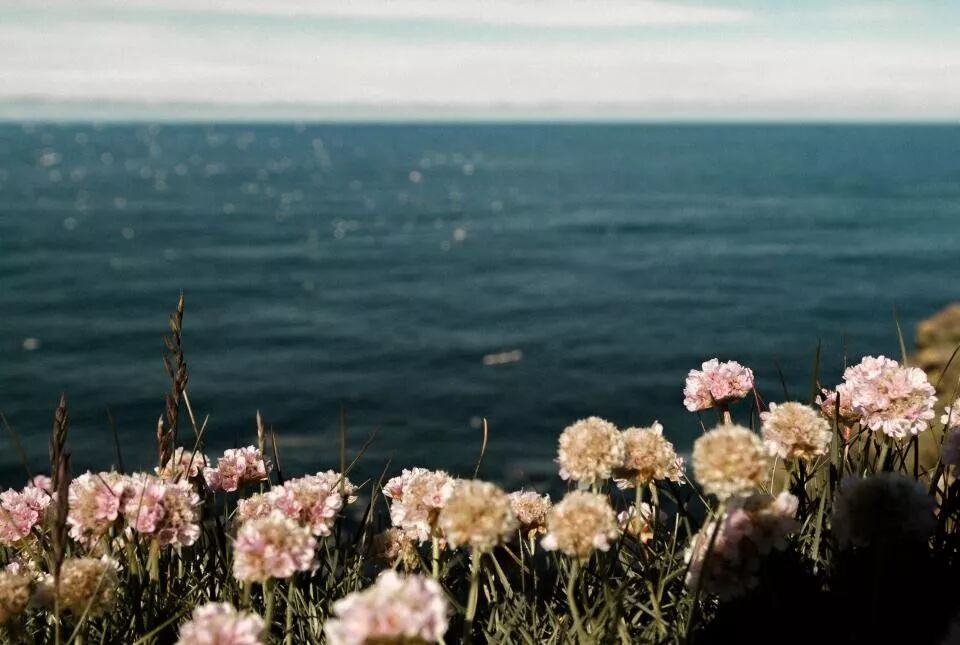 图片[2]-读懂《西游记》原著，才明白人性的3个真相 - 如意-如意