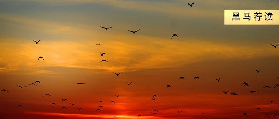 五源资本刘芹：优秀的企业家，都有这5个特点