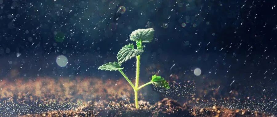 对抗不确定？这些逆势成长的创业者给了3个锦囊