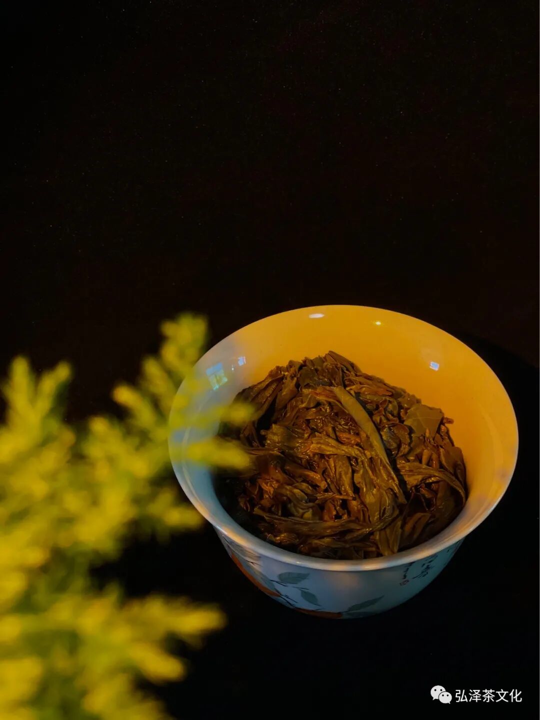 水金龟_金龟水溶肥_金龟水上浮的由来