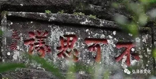 金龟水上浮的由来_水金龟_金龟水溶肥