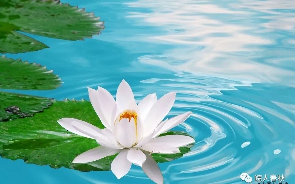 翡翠湖在哪里_翡翠湖旅游攻略_翡翠湖天气