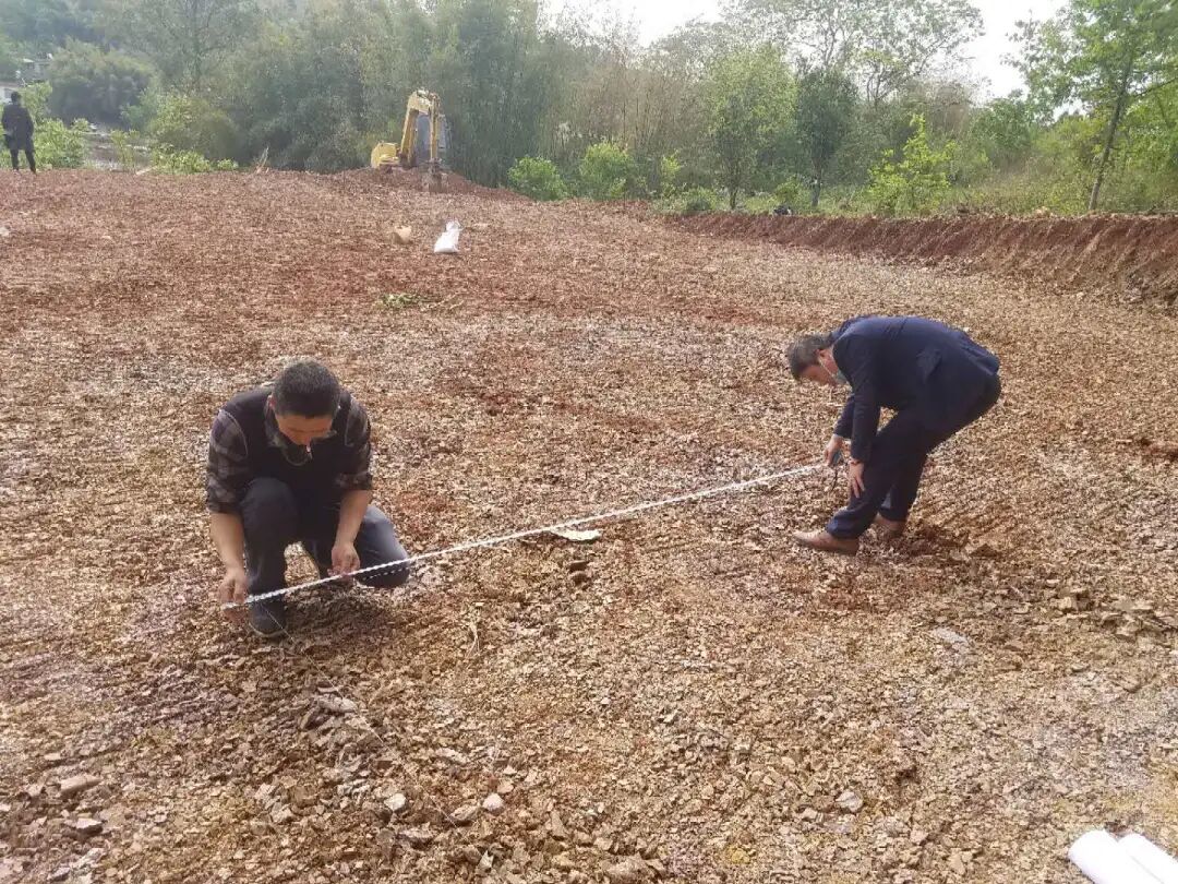 拒绝盲目建房！户型这样规划才完美