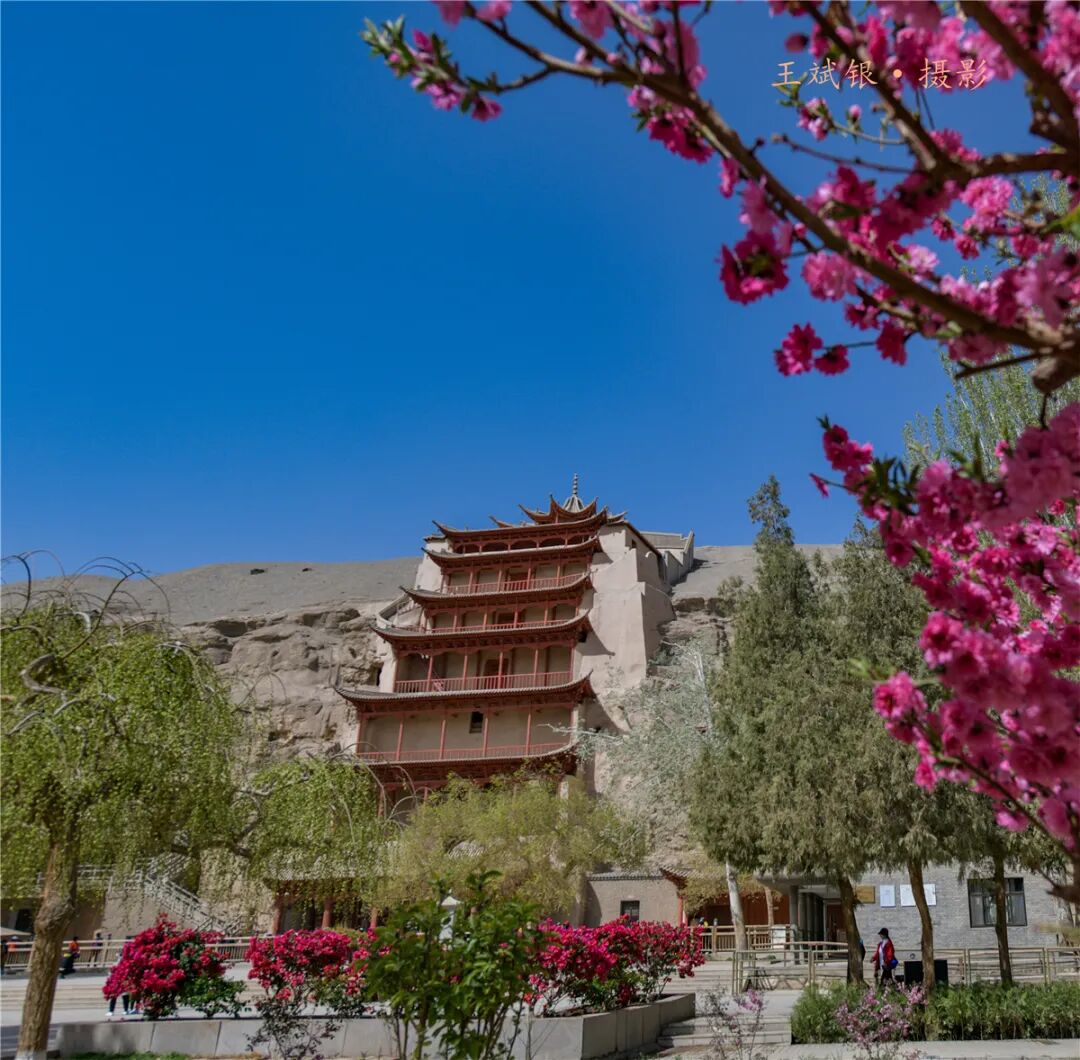 莫高窟春色